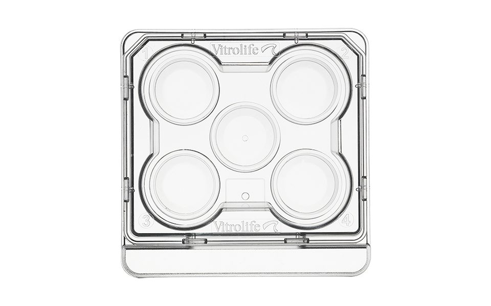 5 Well Culture Dish (1)