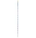 Pasteur Pipette